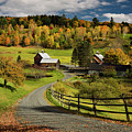 Bright Fall leaves around Sleepy Hollow Farm on Cloudland Road W