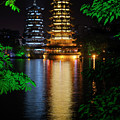 Sun and Moon Pagodas on Shanhu or Fir Lake at night framed by tr