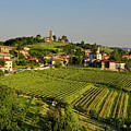 Sunset light on vineyards and Church of the Holy Cross and Churc